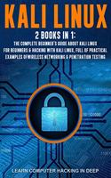 Kali Linux: 2 books in 1: The Complete Beginner's Guide About Kali Linux For Beginners & Hacking With Kali Linux, Full of Practical Examples Of Wireless Network(3 Kali Linux)