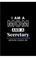 I Am A Mom And A Secretary Nothing Scares Me