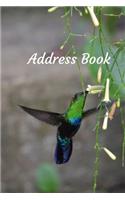 Address Book