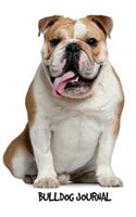 Bulldog Journal: English Bulldog 6 x 9 inch dog notebook, blank diary, 200 pages