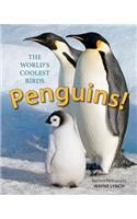 Penguins! The World's Coolest Birds