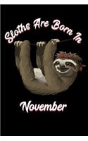Sloths Are Born in November