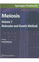 Meiosis