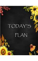 Today's Plan
