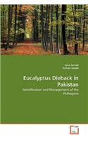 Eucalyptus Dieback in Pakistan