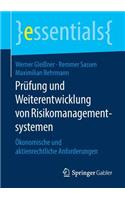 Prüfung Und Weiterentwicklung Von Risikomanagementsystemen: Ökonomische Und Aktienrechtliche Anforderungen