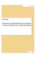 Der Einsatz computergestützter Lernmedien in der betrieblichen Aus- und Weiterbildung: (German)