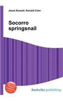 Socorro Springsnail