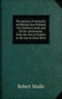 picture of Australia: exhibiting New Holland, Van Dieman's land, and all the settlements, from the first at Sydney to the last at Swan River
