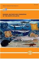 Sharks, Batoids and Chimaeras of the North Atlantic