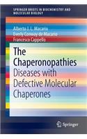 The Chaperonopathies