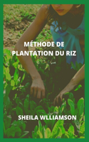 METHODE DE PLANTATION DU RIZ