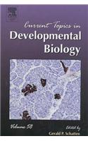 Current Topics in Developmental Biology