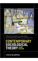 Contemporary Sociological Theory