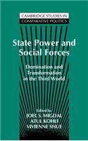 State Power and Social Forces