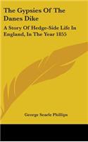 Gypsies Of The Danes Dike: A Story Of Hedge-Side Life In England, In The Year 1855