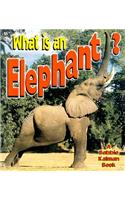 What is an Elephant?