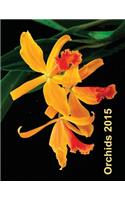 Orchids 2015
