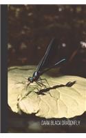 Dark Black Dragonfly: small lined Dragonfly Notebook / Travel Journal to write in (6'' x 9'')