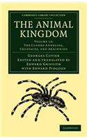 Animal Kingdom - Volume 13