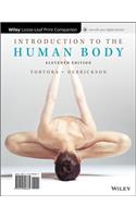 Introduction to the Human Body