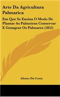 Arte Da Agricultura Palmarica