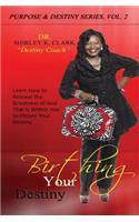 Birthing Your Destiny