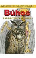 Buhos: Por Dentro Y Por Fuera (Owls: Inside and Out)