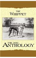 Whippet - A Dog Anthology (A Vintage Dog Books Breed Classic)