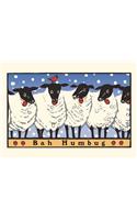 Sheep BAA Humbug: Boxed Set of 6 Cards