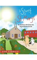 The Secret at St. Marys