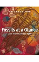 Fossils at a Glance
