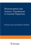 Photoreception and Sensory Transduction in Aneural Organisms