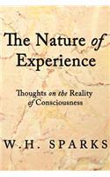 The Nature of Experience