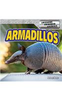 Armadillos: (Awesome Armored Animals)