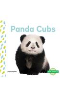 Panda Cubs
