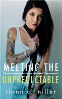 Meeting The Unpredictable