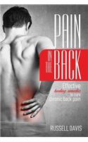Pain in the Back: Effective Healing Remedies to Cure Chronic Back Pain