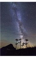 Looking Up in Wonder at the Milky Way Astronomy Journal