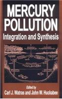 Mercury Pollution Integration and Synthesis