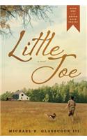 Little Joe