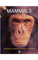 Mammals