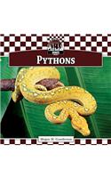 Pythons