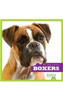 Boxers