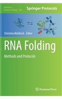 RNA Folding