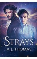 Strays