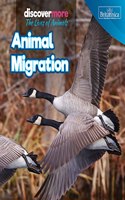 Animal Migration