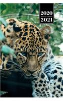 Panther Leopard Cheetah Cougar Week Planner Weekly Organizer Calendar 2020 / 2021 - Deep in Jungle: Cute Wildlife Animal Pet Bullet Journal Notebook Diary in 6" x 9" Inch Pocket Size