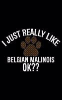 I Just Really Like Belgian Malinois Ok?