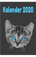 Katzenbaby Kalender 2020